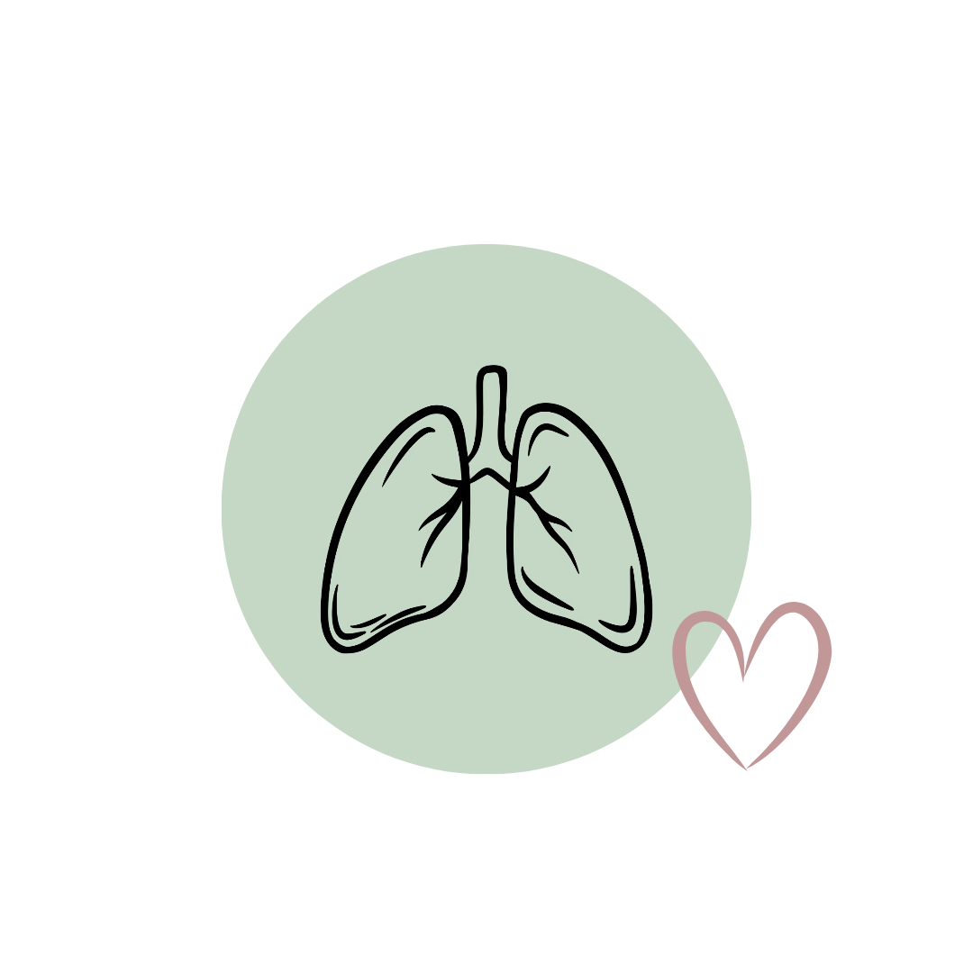 A minimalist line art icon of human lungs inside a pale green circle, with a small pink outlined heart to the right, on a plain white background.